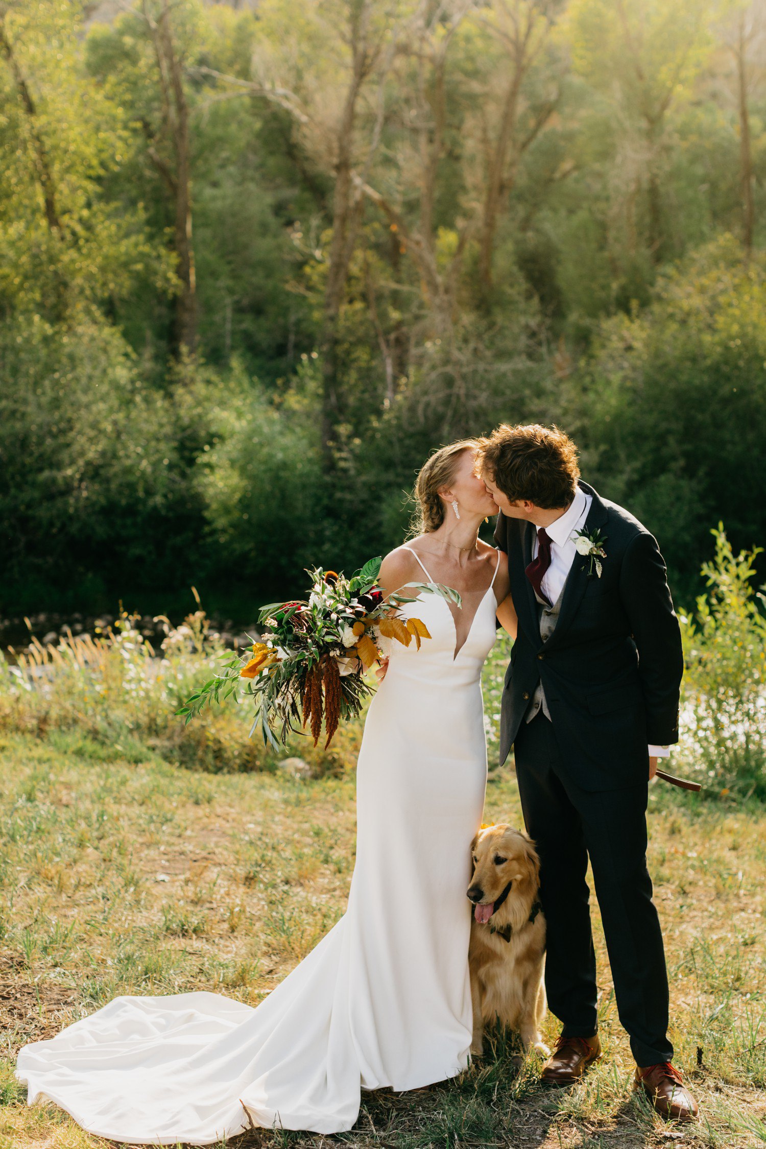 Wedding Photos with Dogs 
