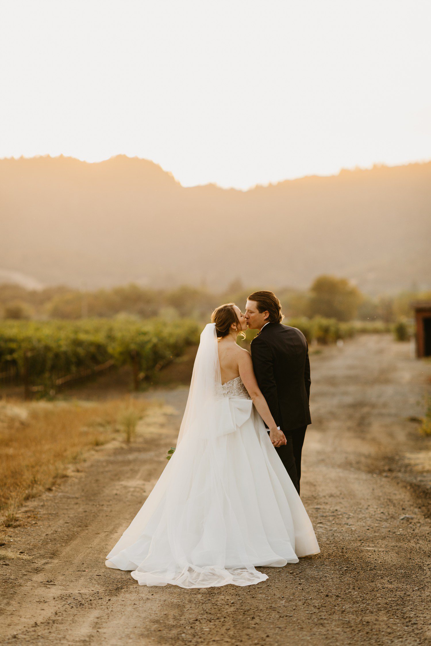 Wedding Photos at Vineyard in Sonoma California