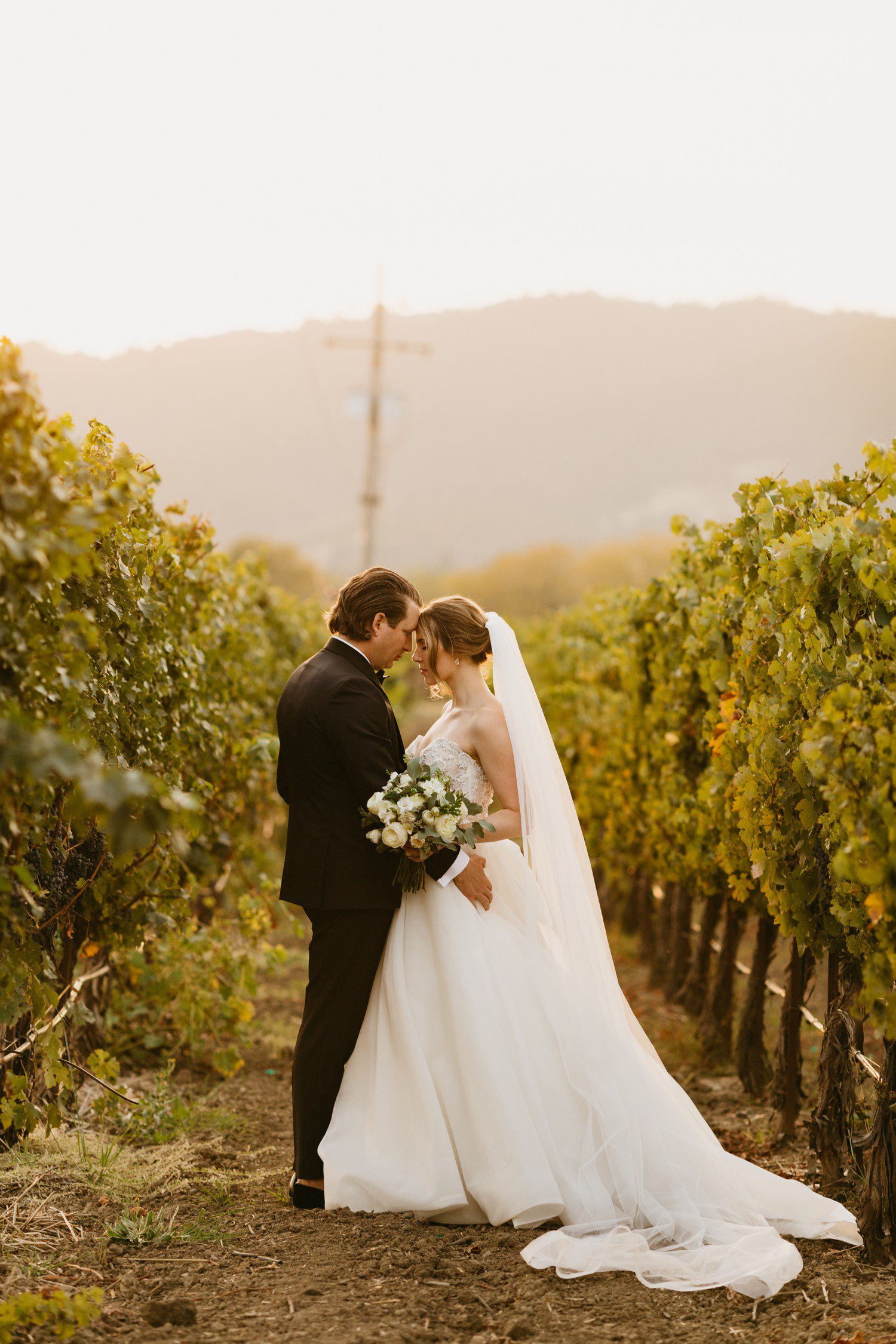 Wine Country Wedding in Sonoma California