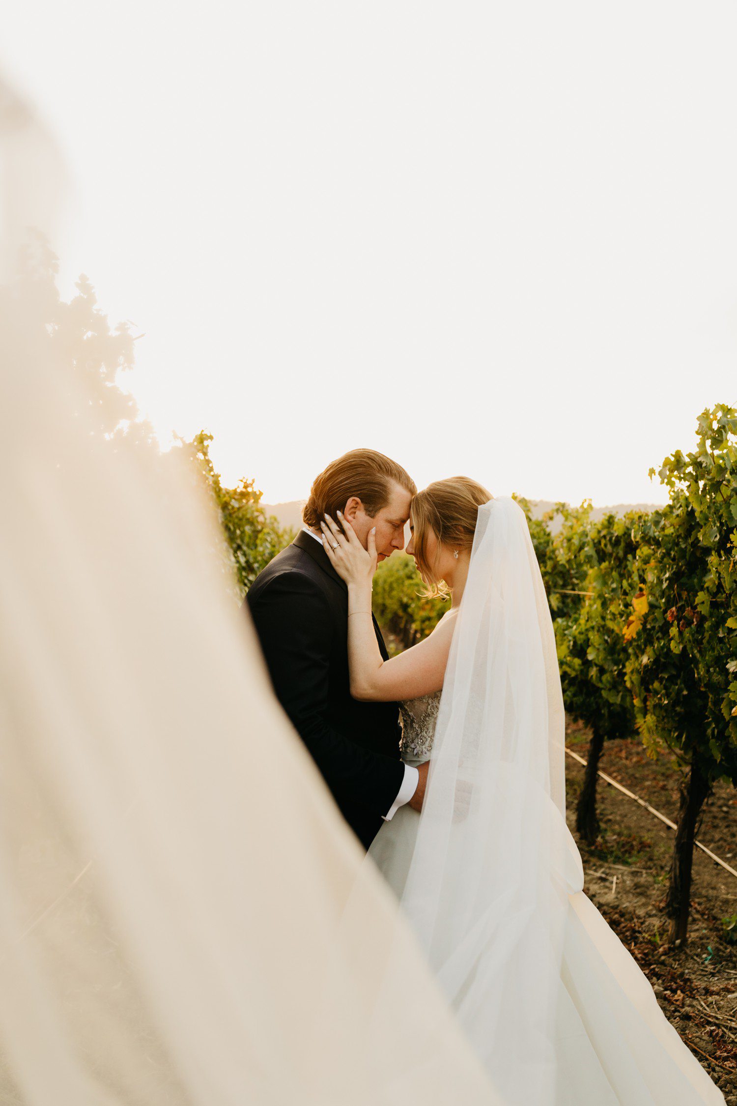 Winery Wedding Photos in California