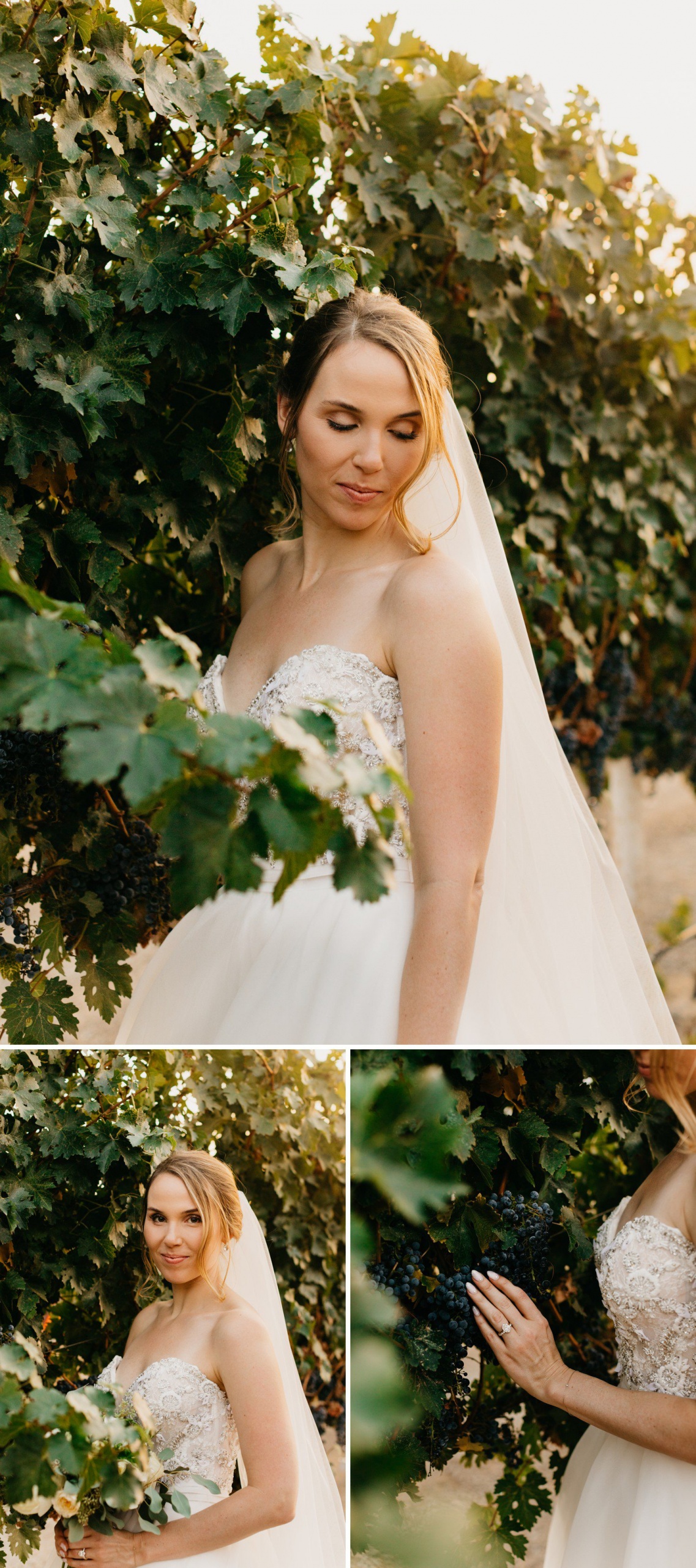 Bridal Photos in California Vineyard in Sonoma