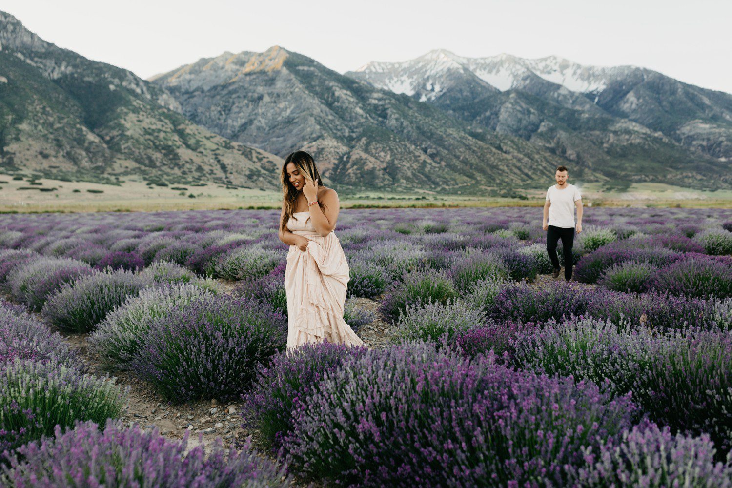 Lavender Field Engagement Photos