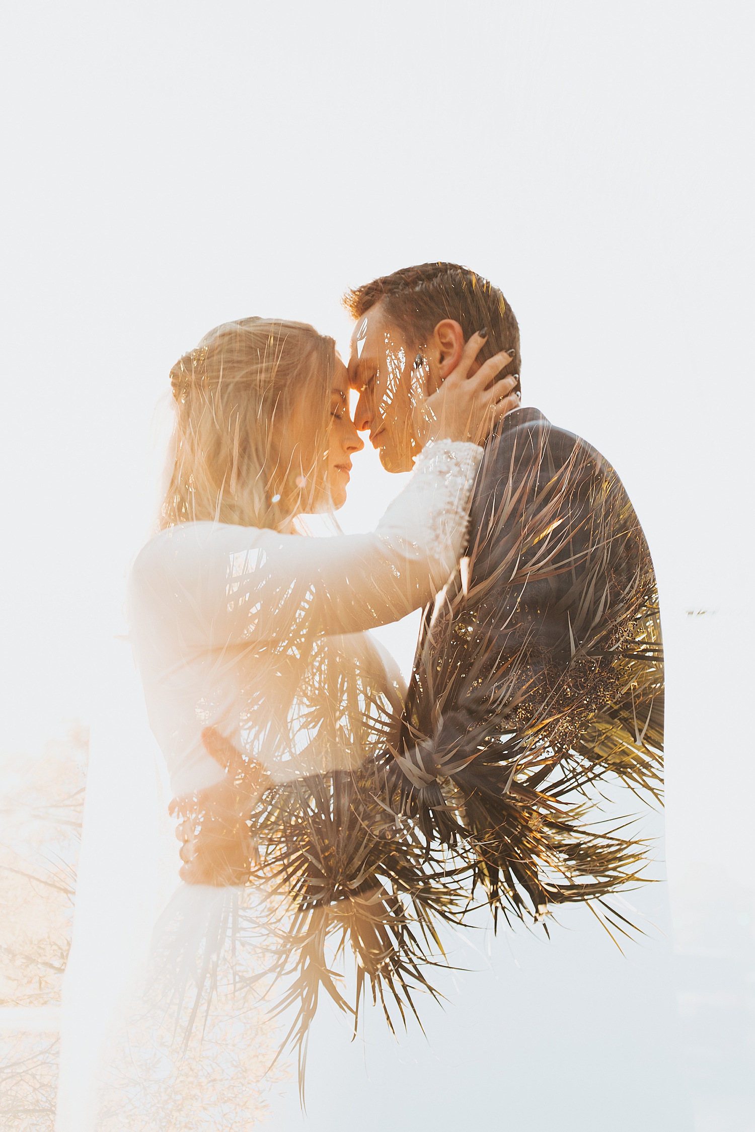 engaged couple embrace under palm trees at sunrise shoot by Destination wedding photographer