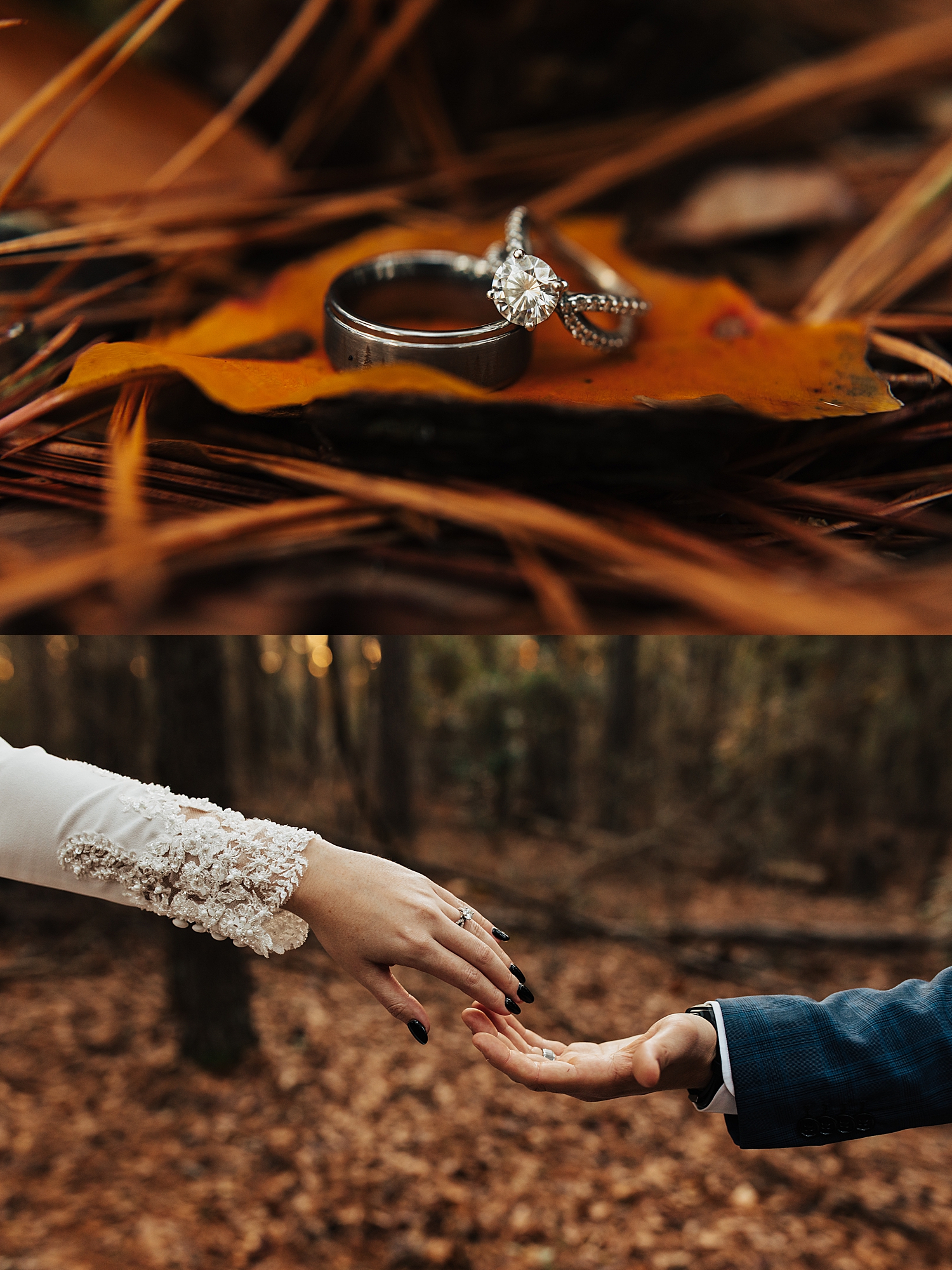 hands reach across Fall foliage with diamond rings on for sunrise shoot