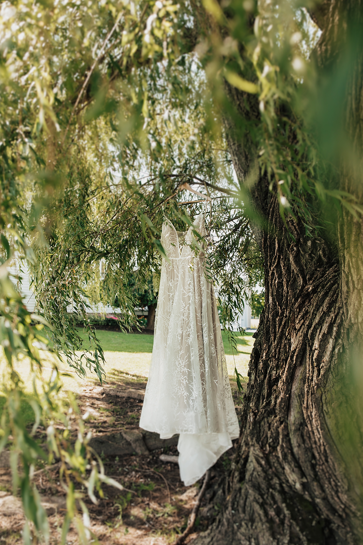 bridal gown hanging from a willow tree in The Finger Lakes
