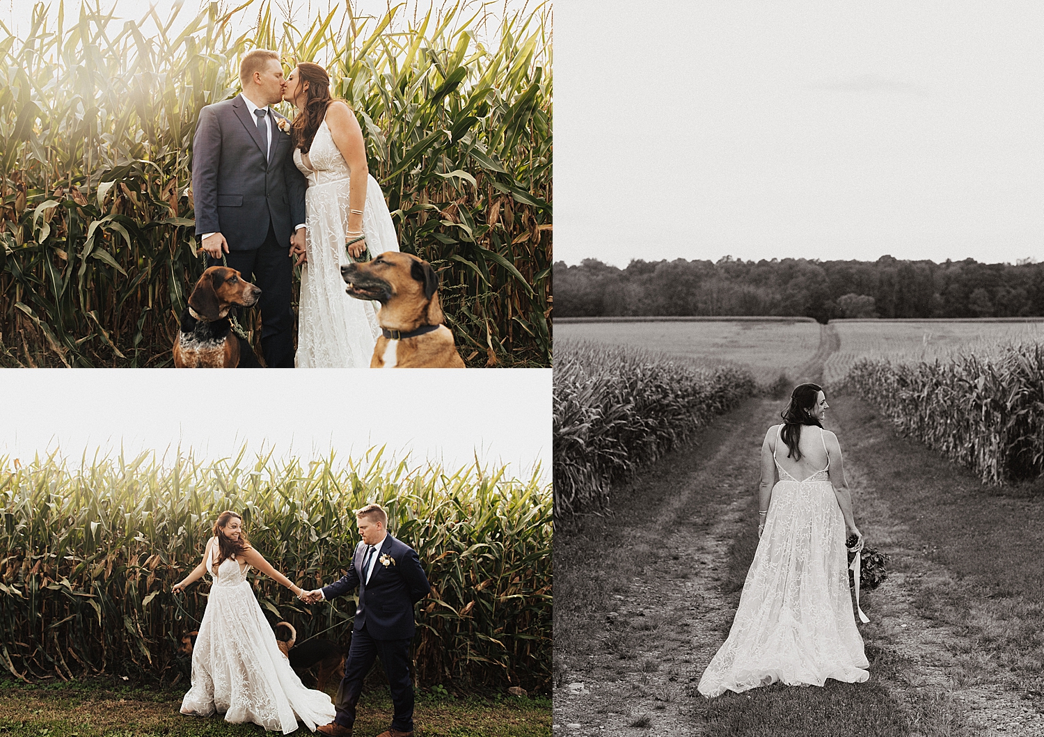 newlyweds walk through field with their dog by Nicole Aston Photography