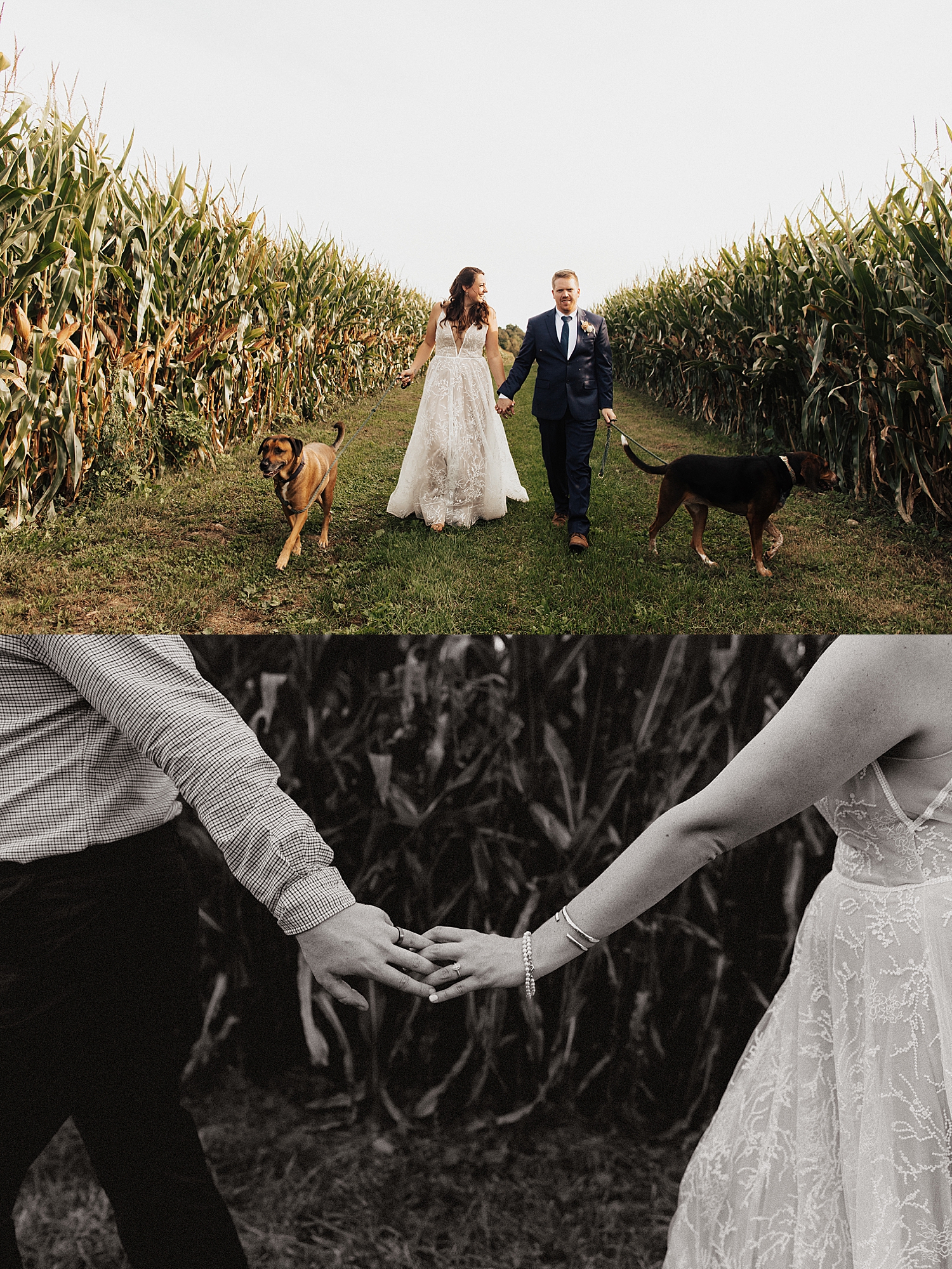 couple walks their dogs in field after their ceremony by Destination wedding photographer