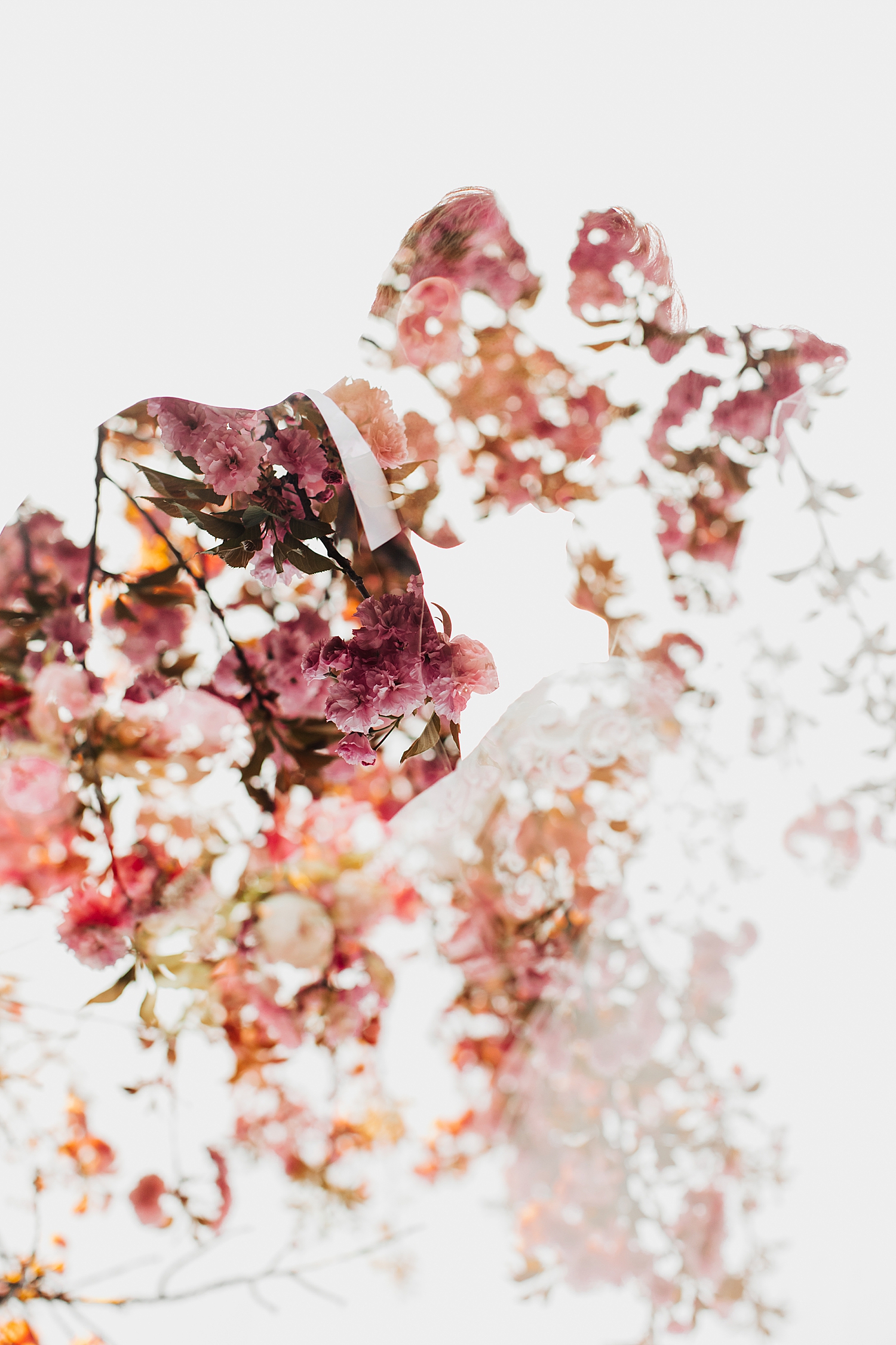 Silhouette of couple in florals by destination wedding photographer