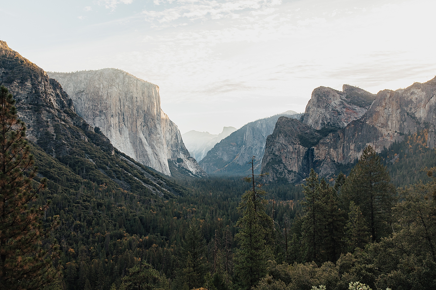 large cliffs surrounding a valley at National Park in California by Destination wedding photographer