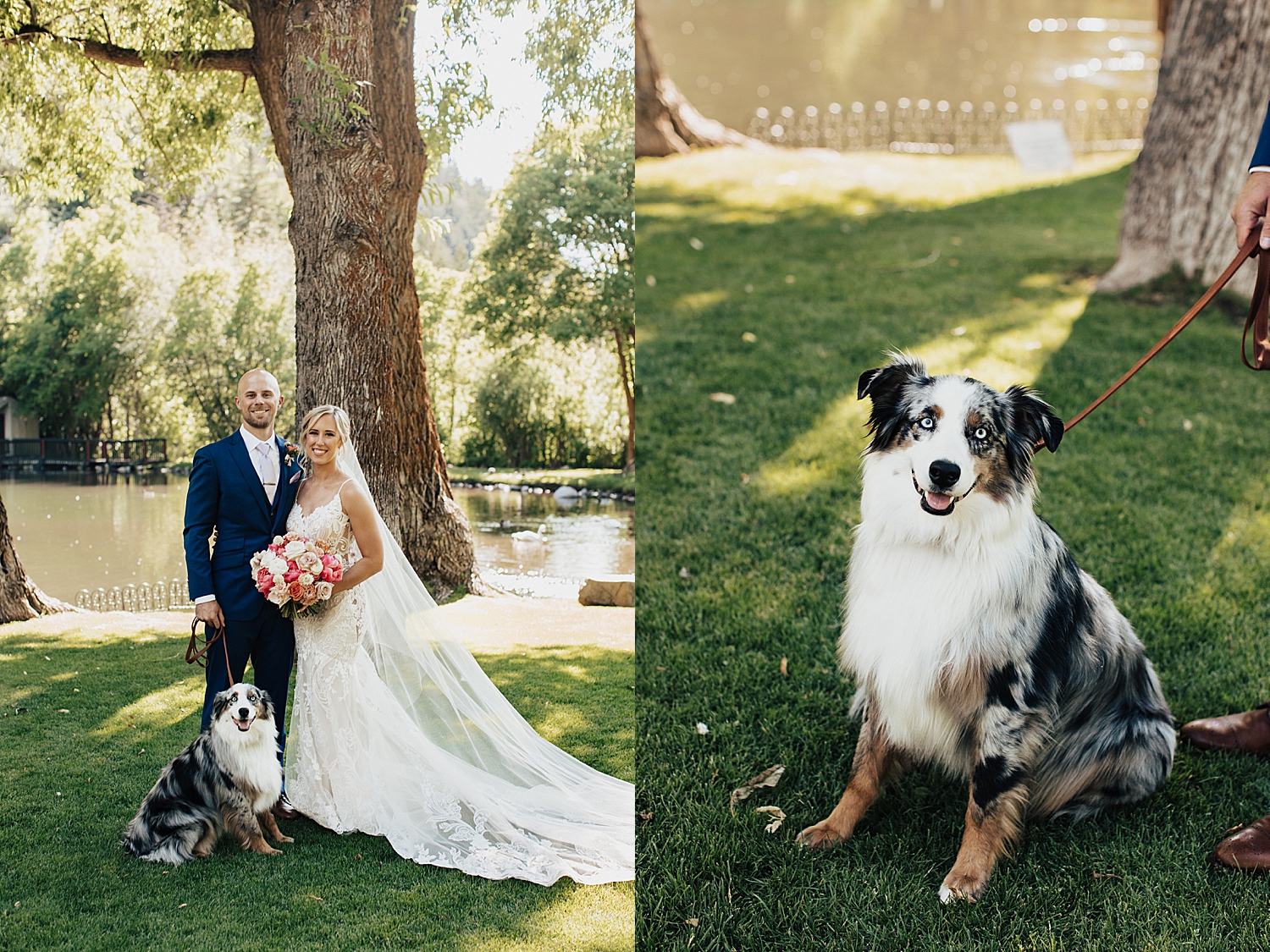 dog sits on grass next to newlyweds outside by Destination wedding photographer