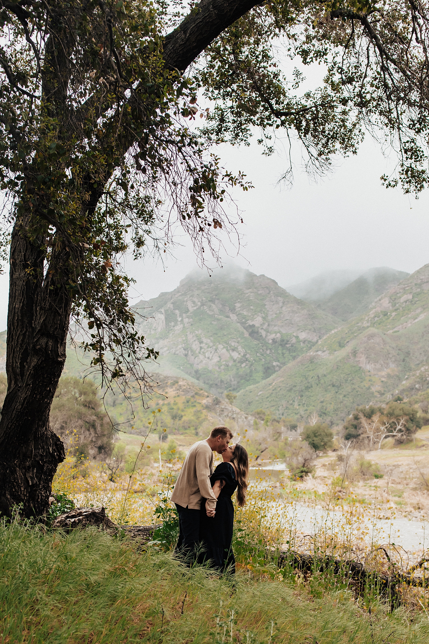 engaged couple share a kiss under a really tall tree by Nicole Aston Photography